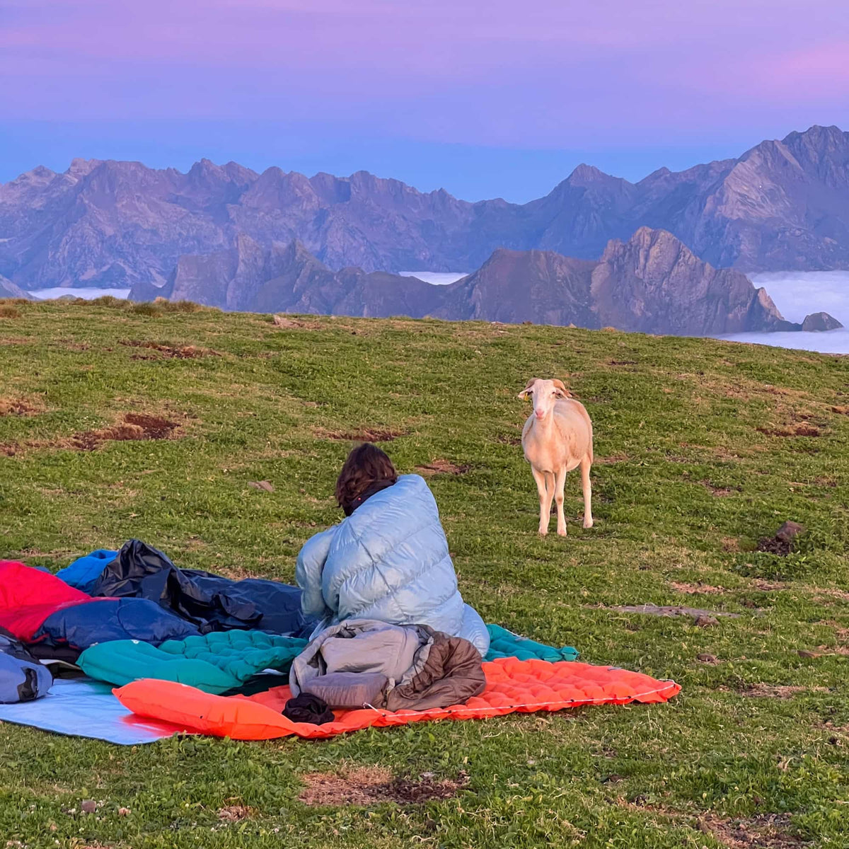 CloudyCoziya® Inflatable Outdoor Mattress